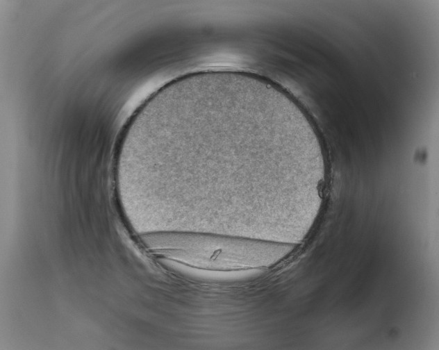 X0000114221469200911201034
