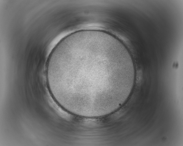 X0000114221470200911201034