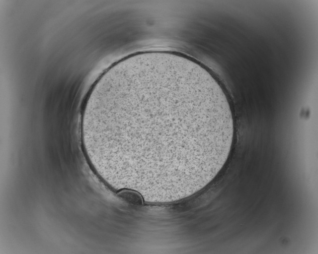 X0000114221472200911201034