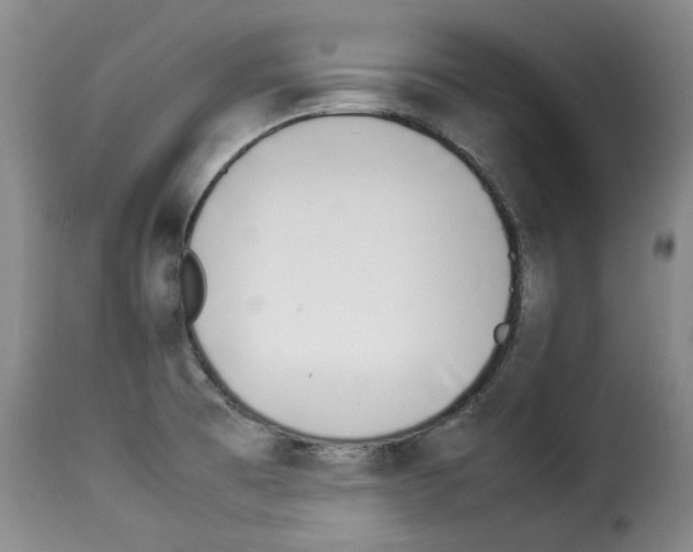 X0000114221473200911201034