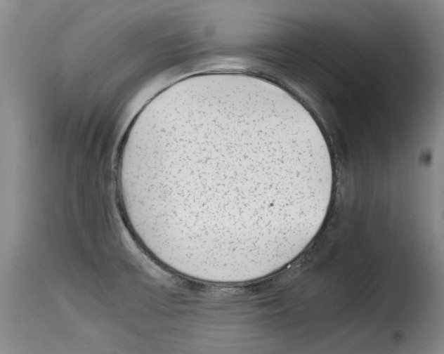 X0000114221475200911201034