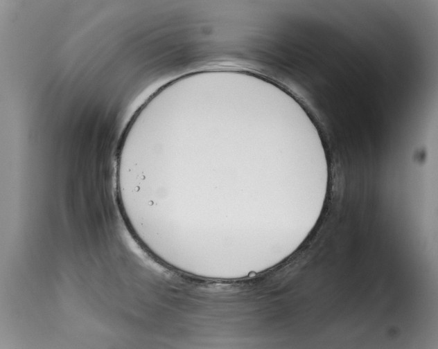 X0000114221476200911201034