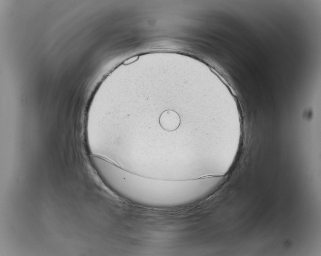 X0000114221477200911201034