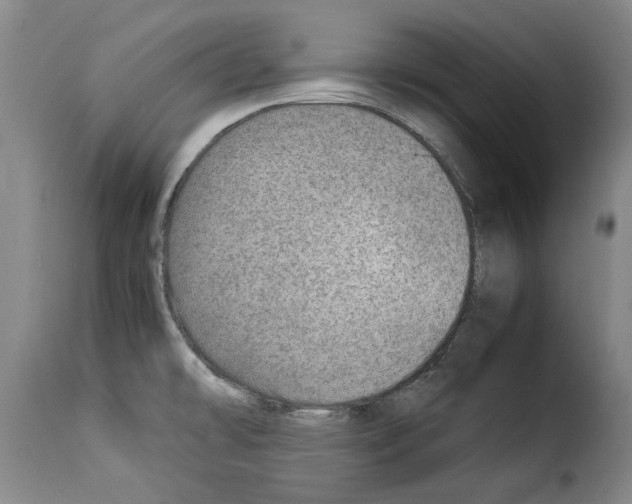 X0000114221478200911201034