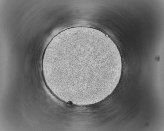 X0000114221479200911201034