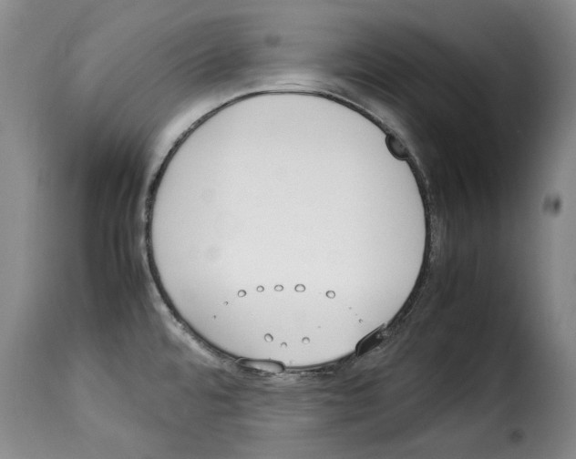 X0000114221480200911201034