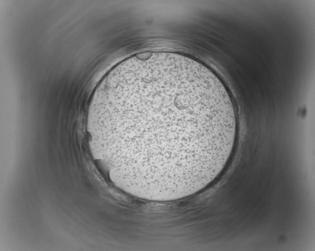 X0000114221481200911201034