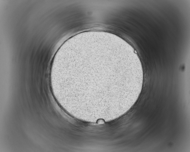 X0000114221483200911201034