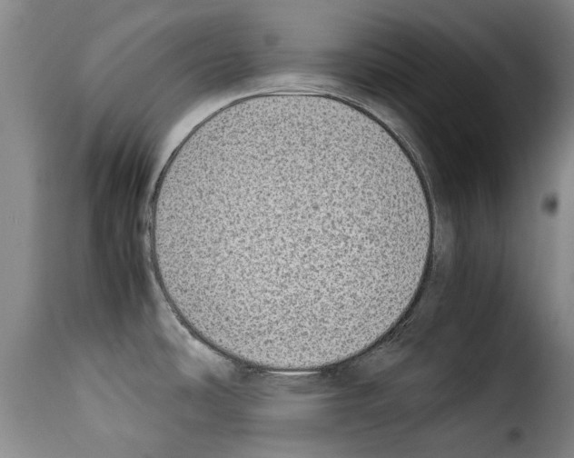 X0000114221486200911201034