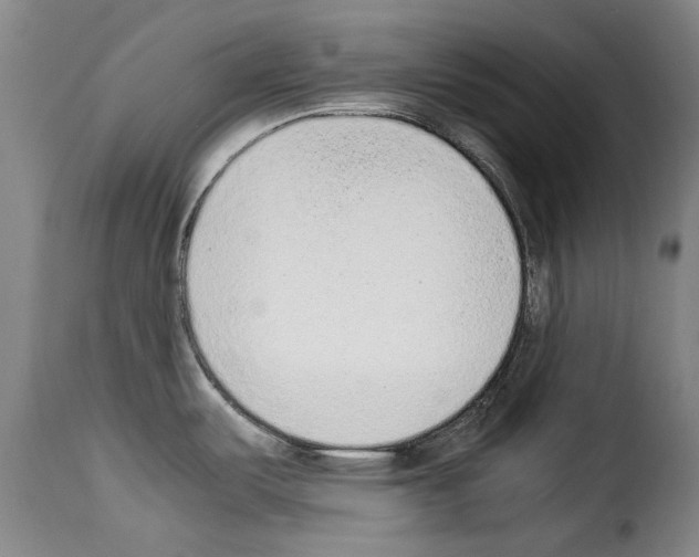 X0000114221487200911201034