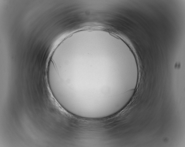 X0000114221488200911201034