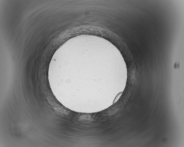 X0000114221489200911201033