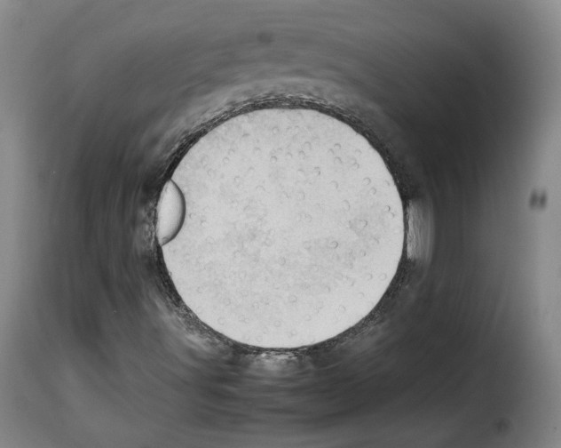 X0000114221491200911201033