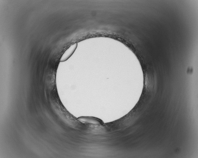 X0000114221492200911201033