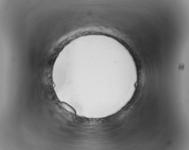 X0000114221494200911201033