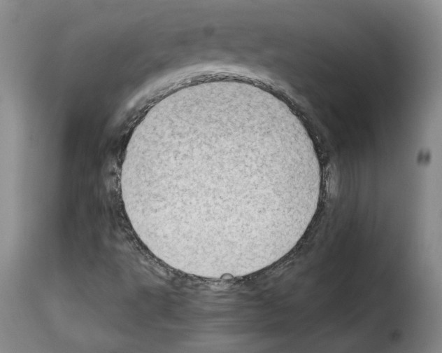 X0000114221495200911201033