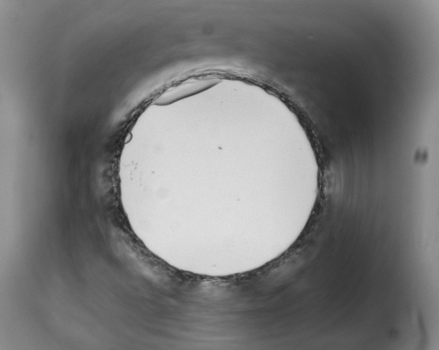 X0000114221496200911201033