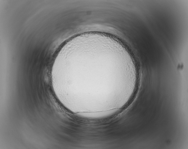 X0000114221497200911201033