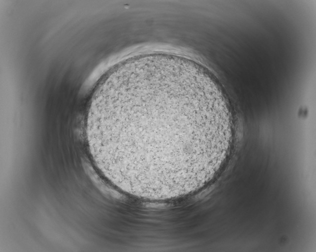 X0000114221499200911201033