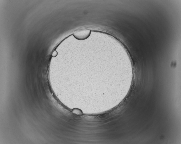 X0000114221500200911201033