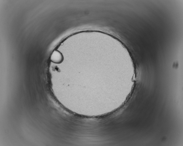 X0000114221502200911201033