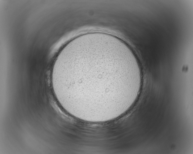 X0000114221503200911201033