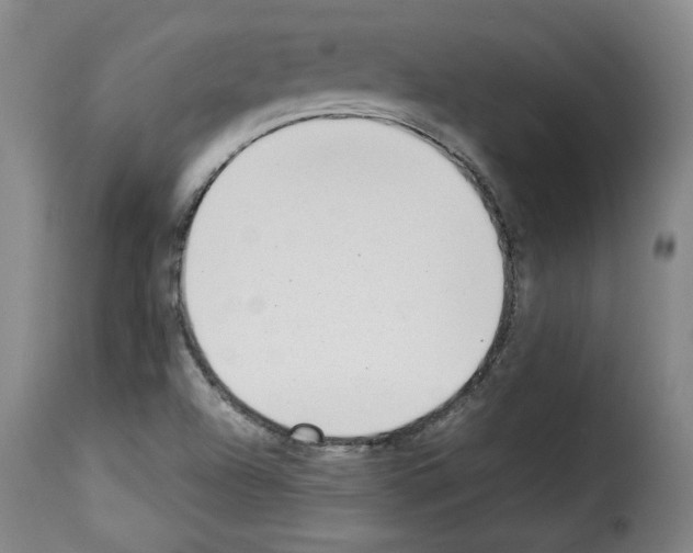 X0000114221504200911201033