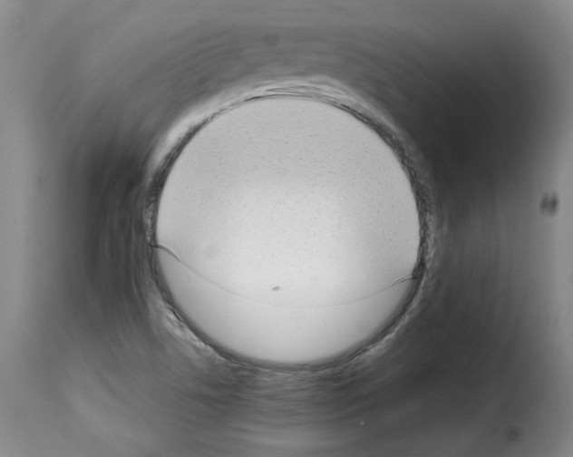 X0000114221506200911201033