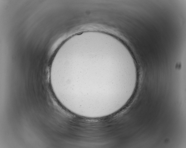 X0000114221509200911201033
