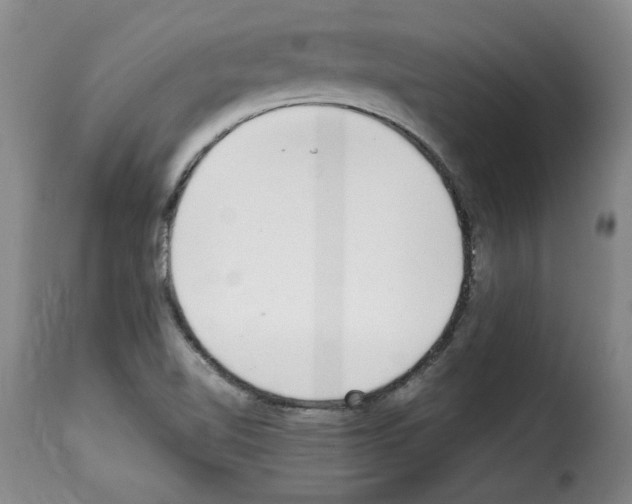 X0000114221510200911201033