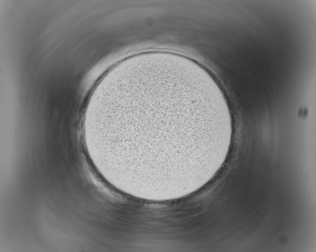 X0000114221511200911201033