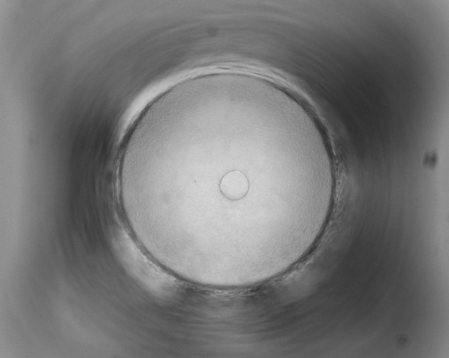 X0000114221514200911201033