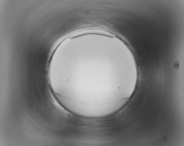 X0000114221516200911201033