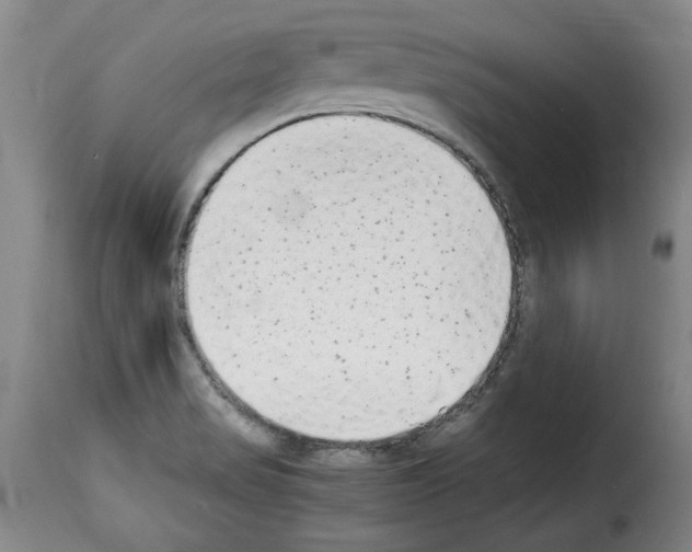 X0000114221517200911201033