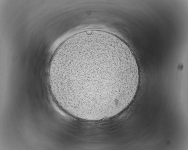 X0000114221519200911201033