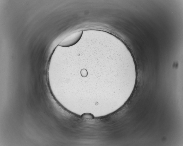 X0000114221520200911201033