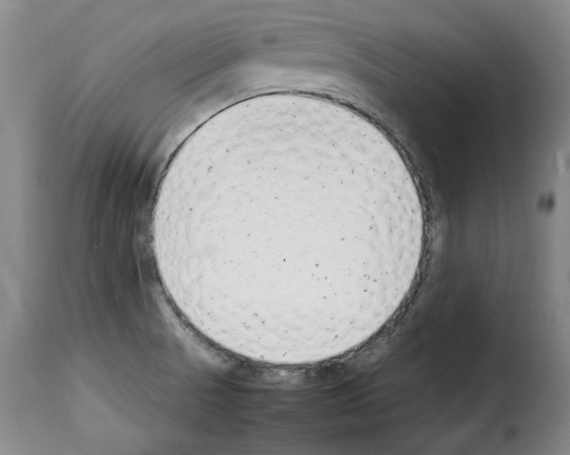X0000114221521200911201033