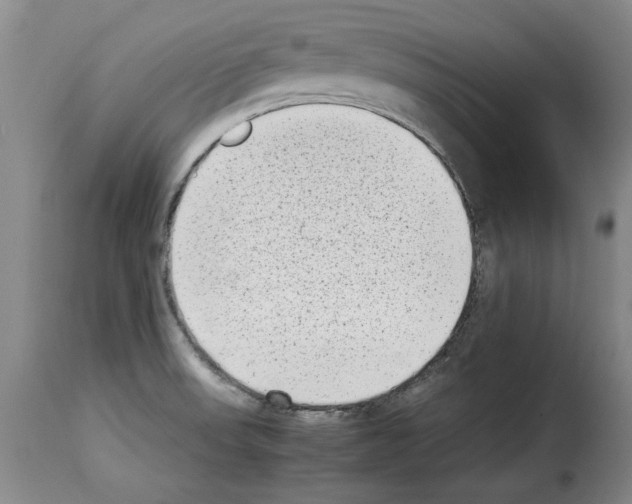 X0000114221523200911201033