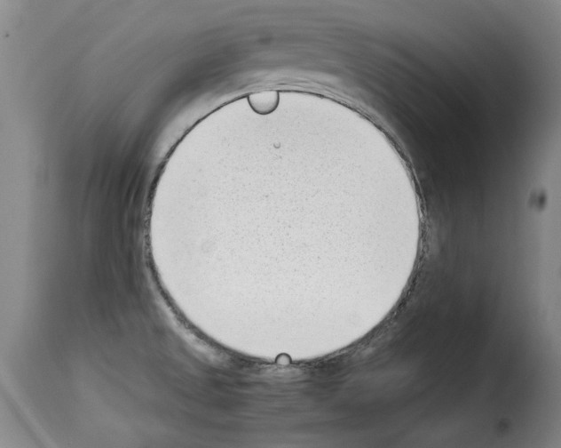 X0000114221525200911201033
