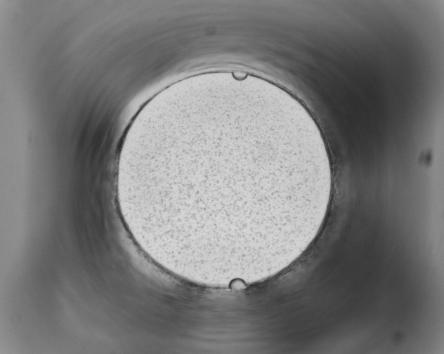 X0000114221526200911201033