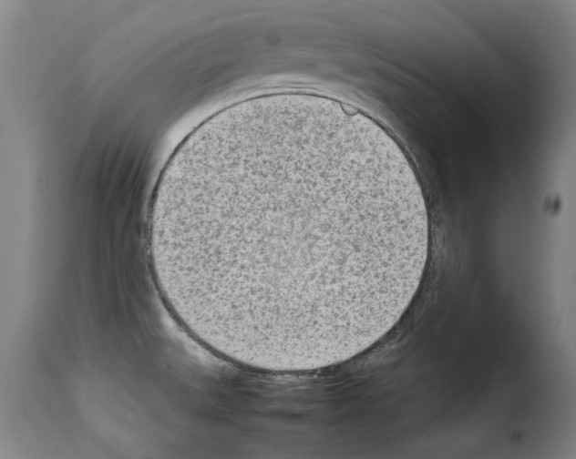 X0000114221527200911201033