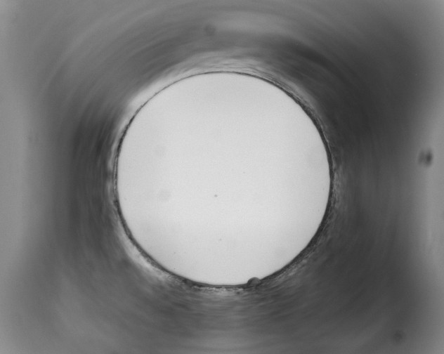 X0000114221528200911201033