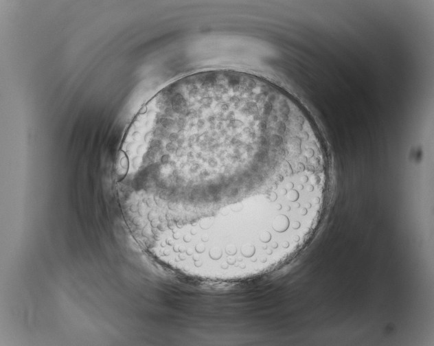 X0000114221529200911201033