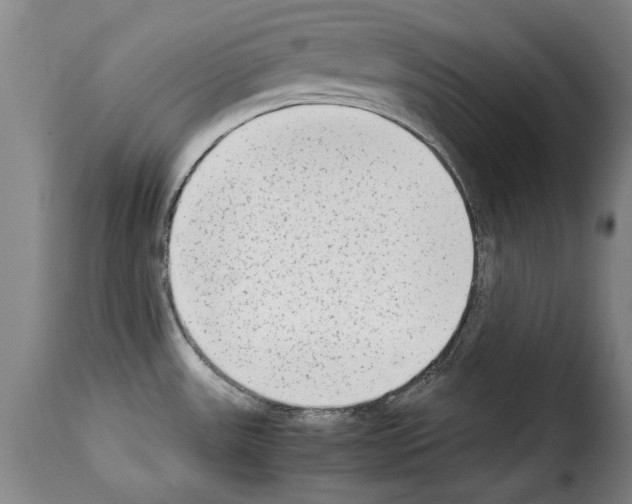 X0000114221531200911201033