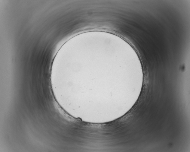 X0000114221532200911201034