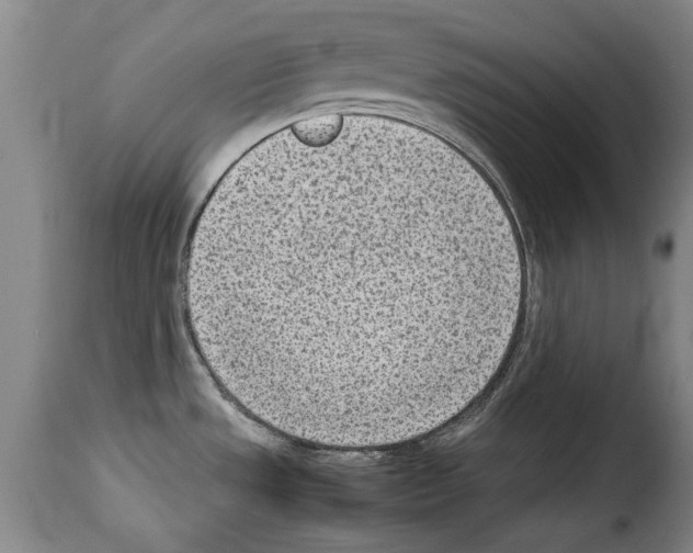 X0000114221533200911201034