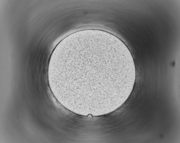 X0000114221534200911201034