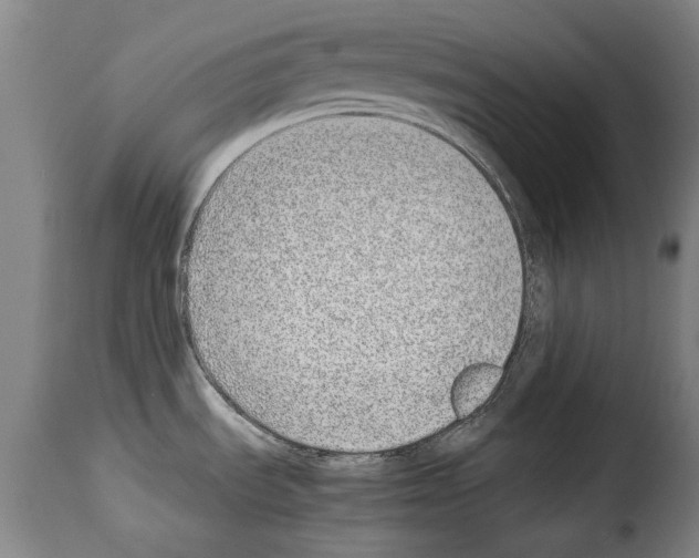 X0000114221535200911201034