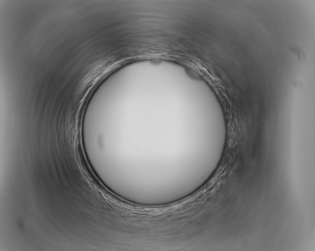 X0000114230002200910091338