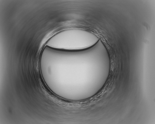 X0000114230004200910091338